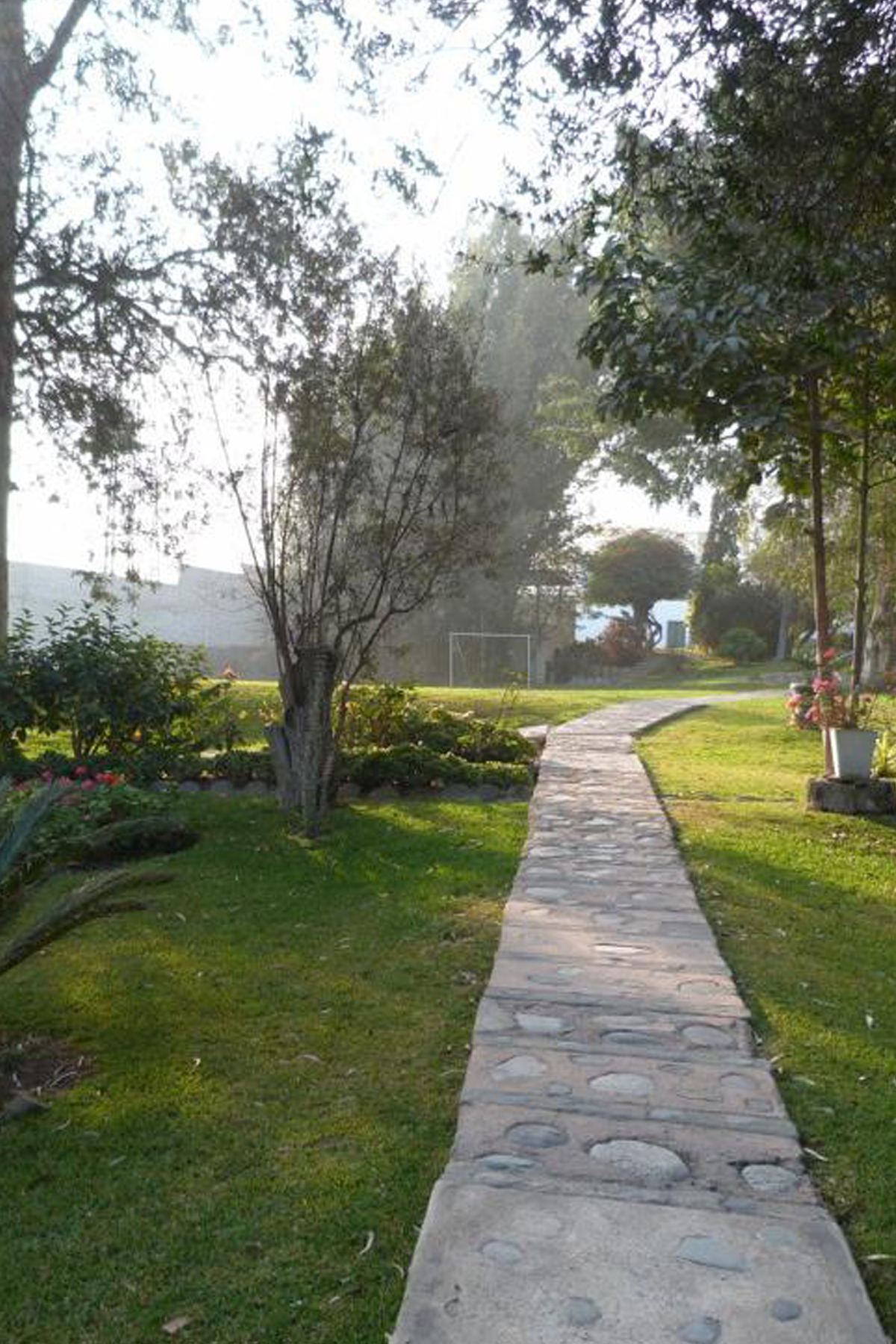 foto larboleda